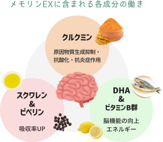 メモリンEXに含まれる各成分の働き